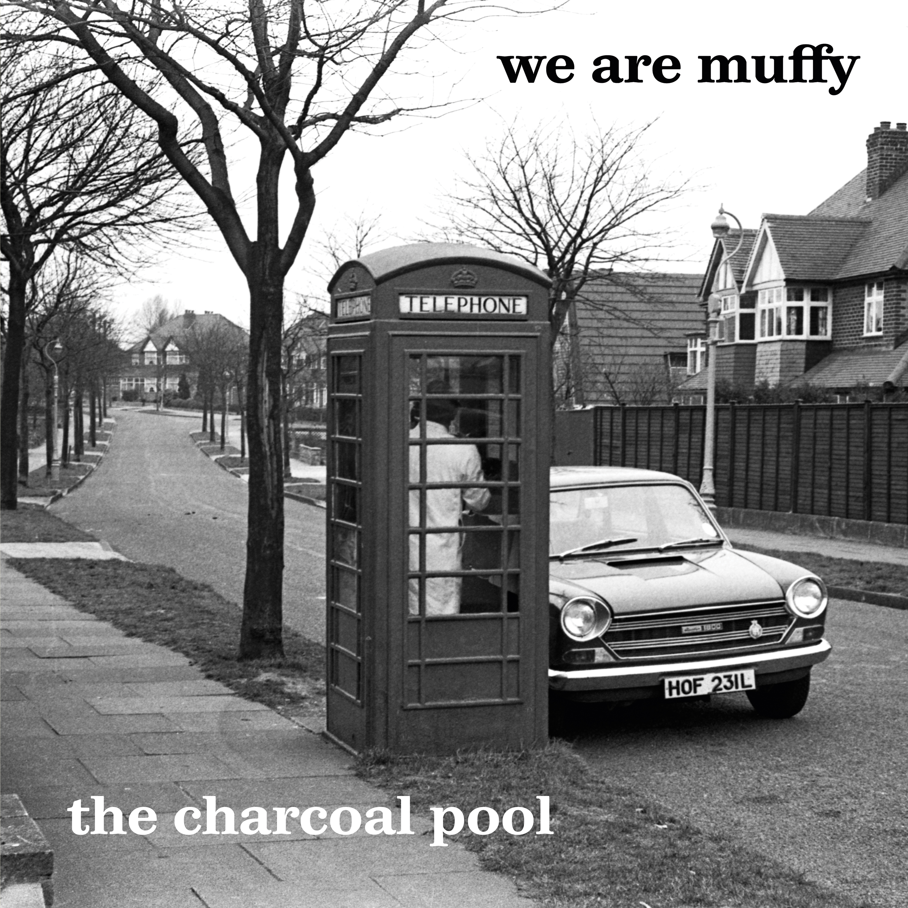 We Are Muffy - The Charcoal Pool