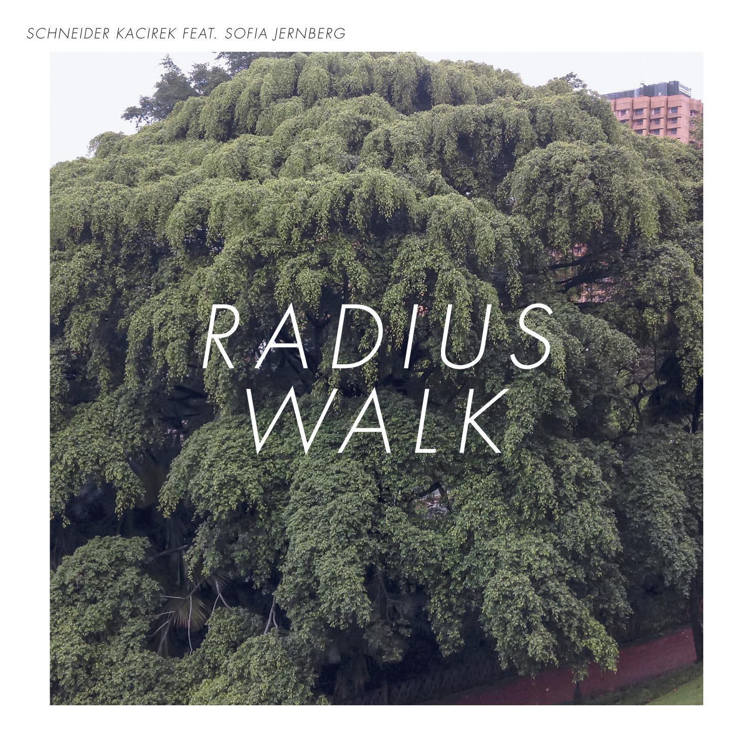 Schneider Kacirek - Radius Walk