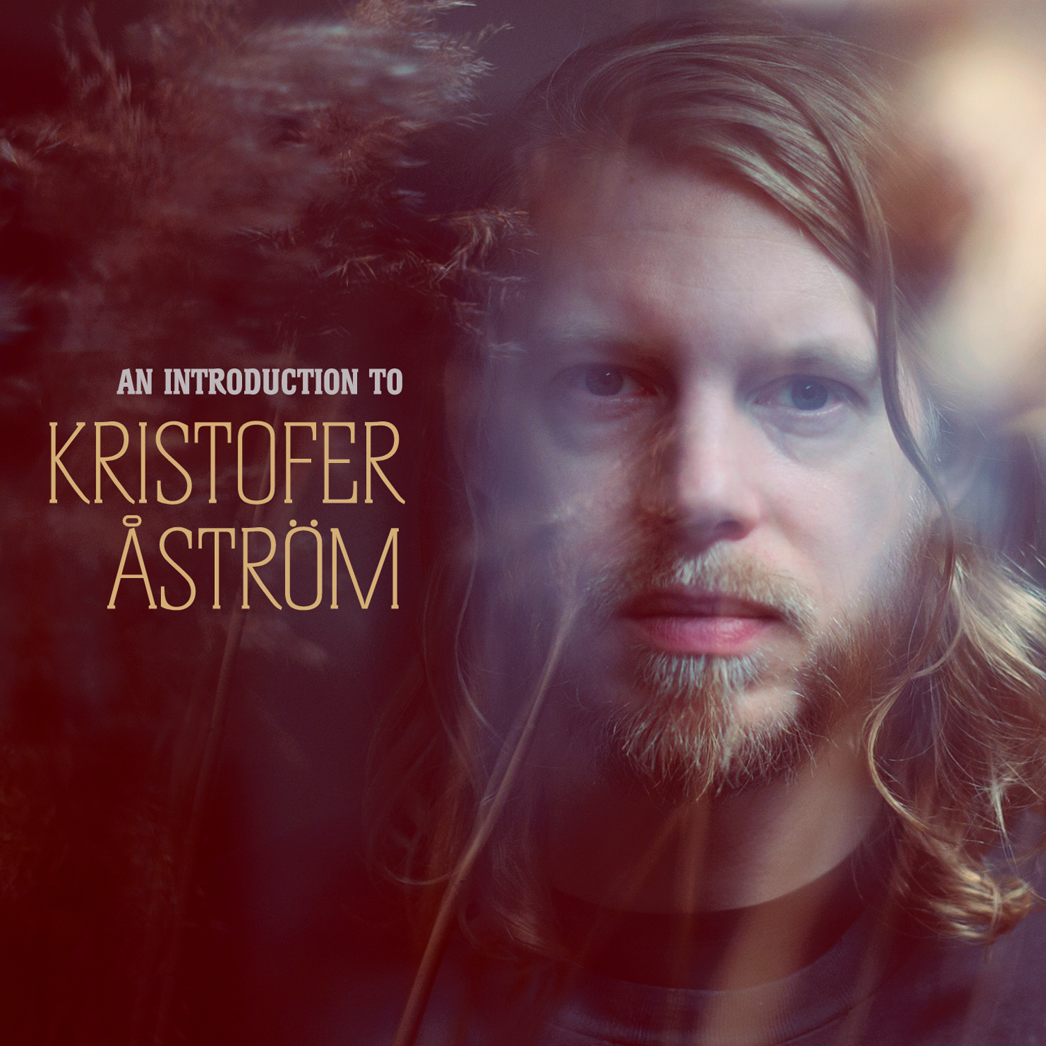 An Introduction To Kristofer Åström